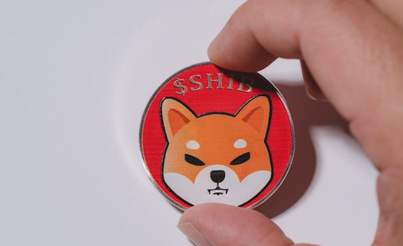What Is SHIB Burn? Your Ultimate Guide to Shiba Inu Token Burning